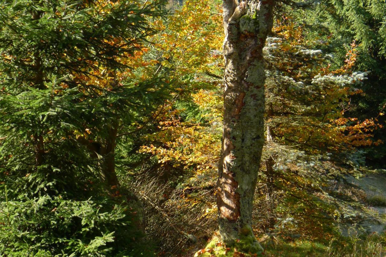 Hejnice Retreat 外观 照片