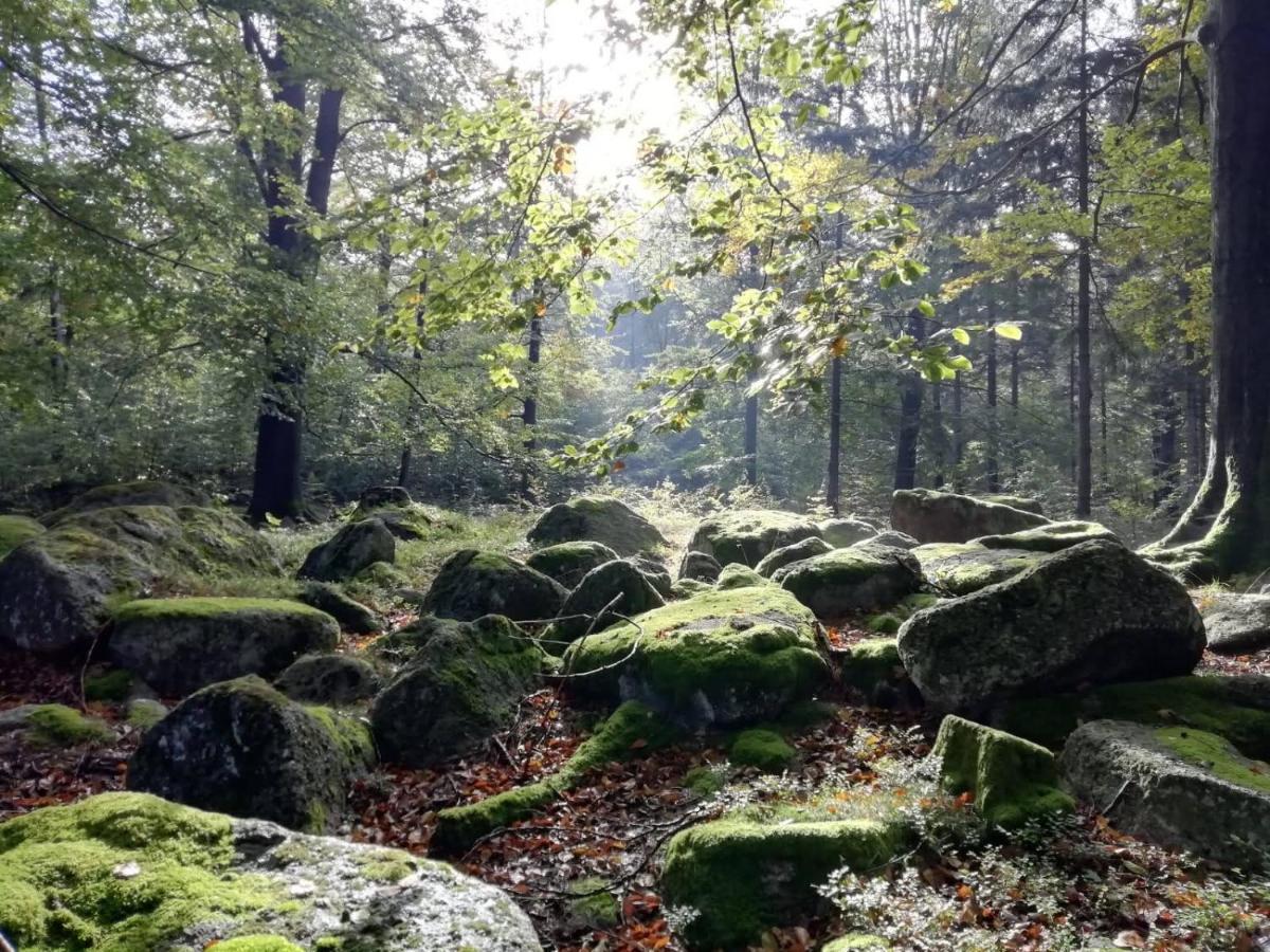 Hejnice Retreat 外观 照片